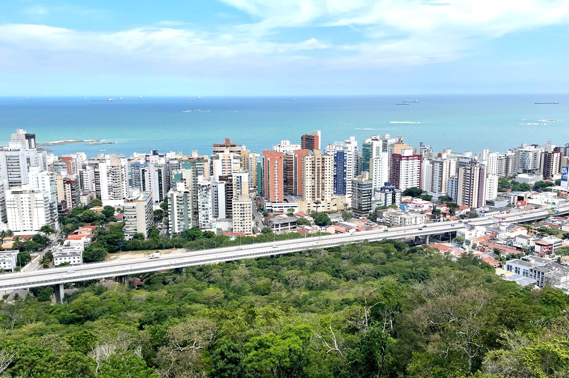 Horizonte de uma cidade costeira com prédios altos acima de um parque verde e do oceano azul.