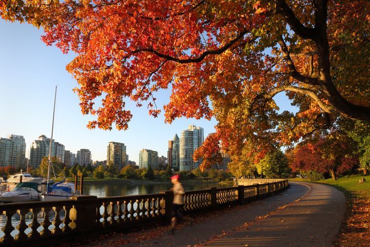 A person is running on a path in a park in autumn