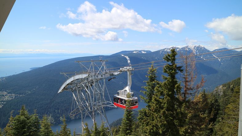 Cable car ascending a mountain, with a forest and ocean in the background. Bright blue sky with clouds.