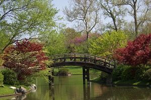 Wooden bridge over calm water in a garden, with trees in various shades of green and red.