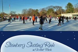 People ice skating at Steinberg Skating Rink in Forest Park on a sunny day.