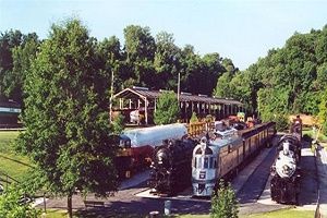 Steam locomotives and train cars parked on tracks at a train museum, surrounded by trees.