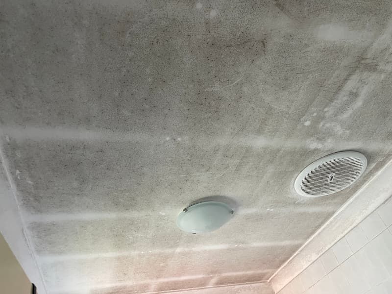 Moldy, stained ceiling with a light fixture and ventilation vent.