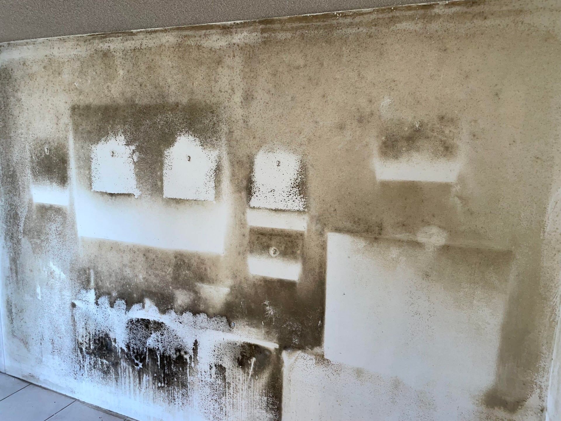 Wall covered in dark mold, with several white, rectangular patches.