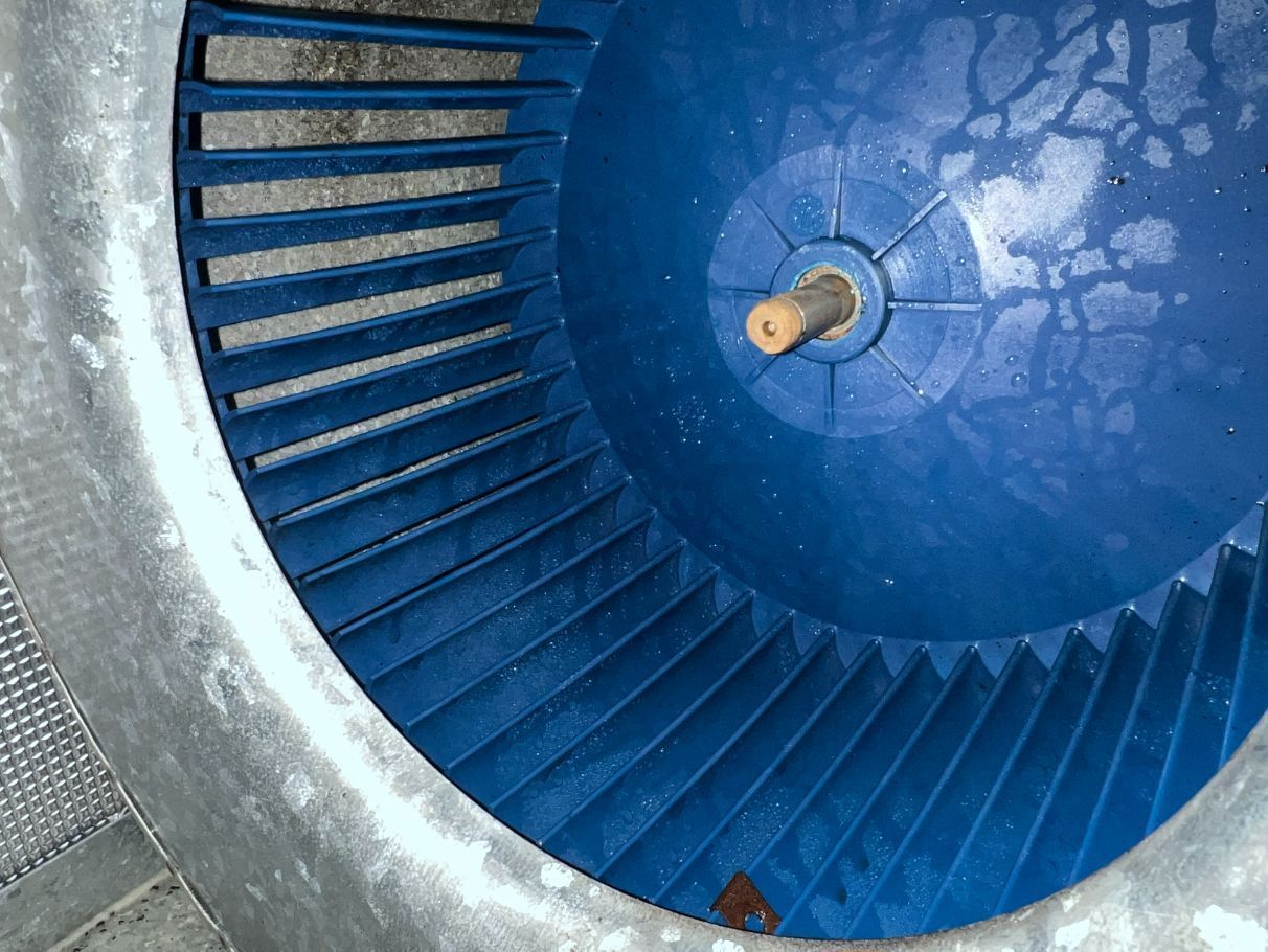 Blue blower fan blades within a circular metal housing.
