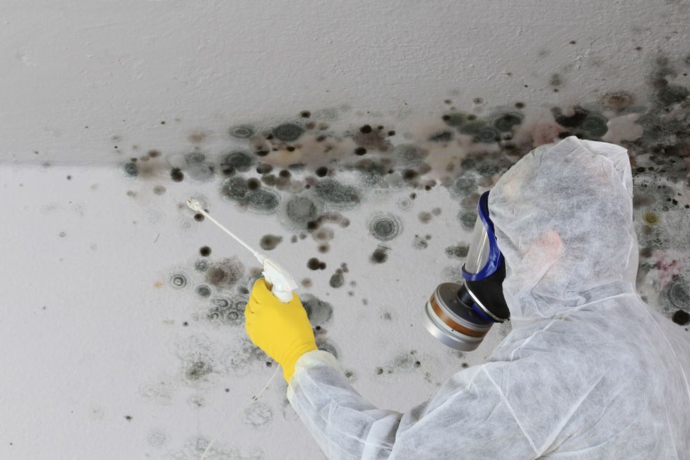 Person in protective suit sprays mold on a wall; setting is interior.
