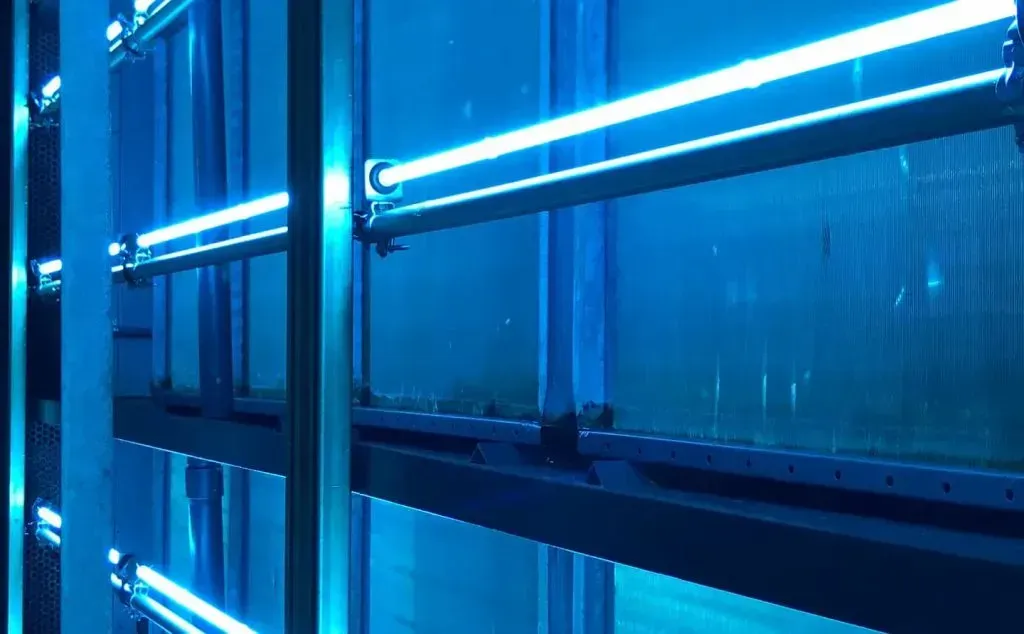 Blue UV lights sterilizing equipment.