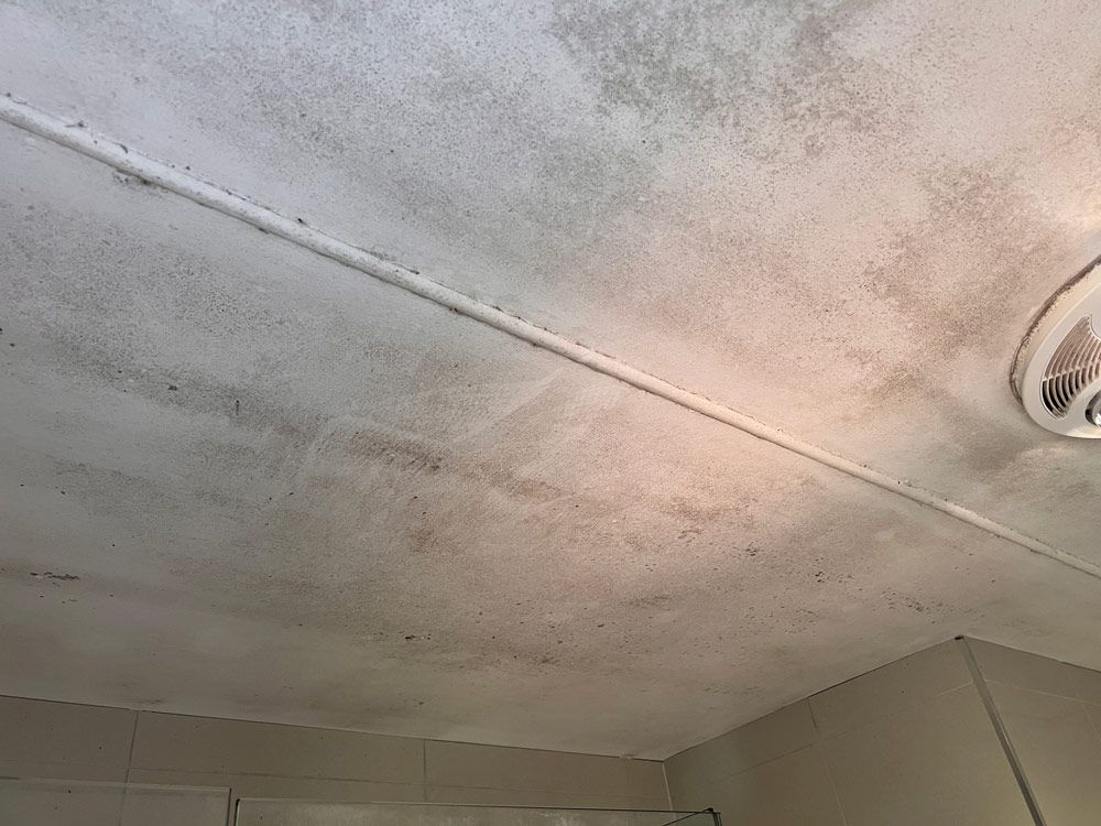 White ceiling with water damage and dark spots, smoke detector on the right.