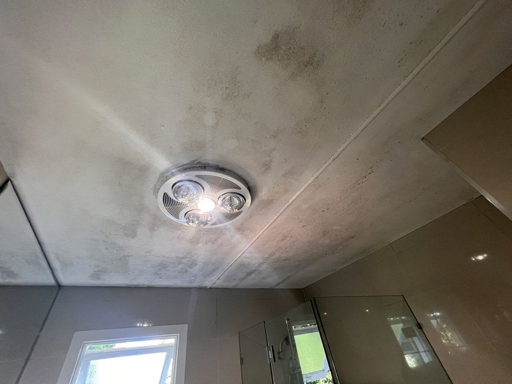 Bathroom ceiling with dark mold spots around a recessed light fixture; walls visible.