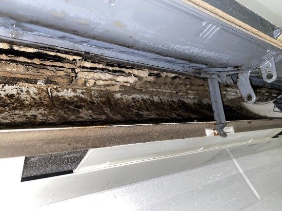 Mold and debris in an air conditioning unit.