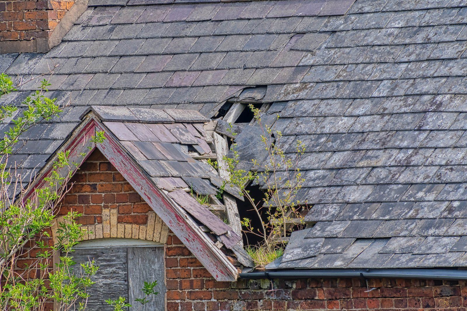 Damaged roof on a brick building, with missing slates and overgrown vegetation.