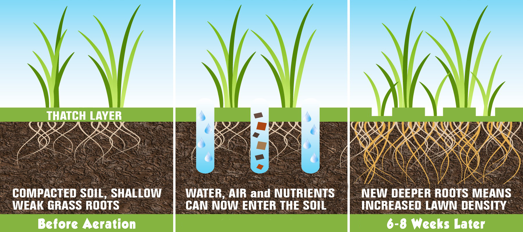 how aeration and seeding works and benefits the lawn