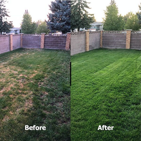 How To Thicken Your Grass?