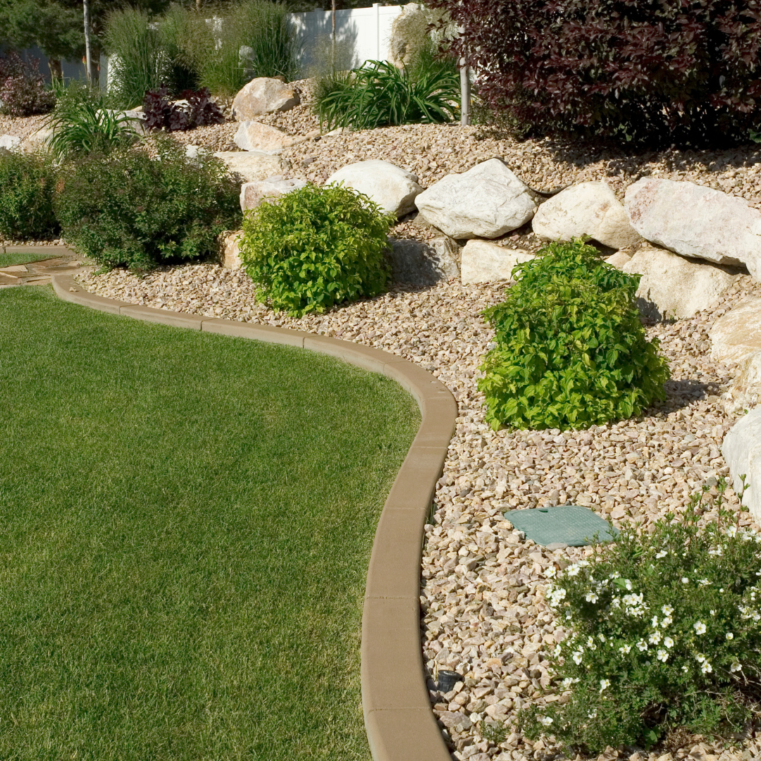 A lawn with a concrete curb surrounded by rocks and bushes.