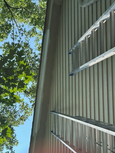 An extension ladder is propped against the light tan vertical siding of a house under a clear sky and tree branches.
