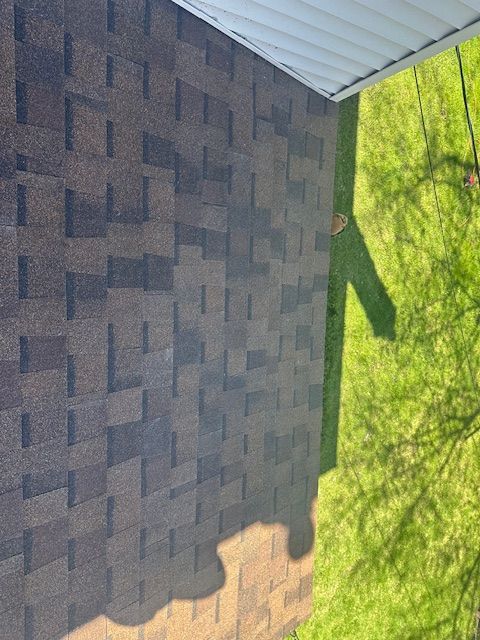 Shingled roof beside bright green grass, with a long shadow across the lawn.