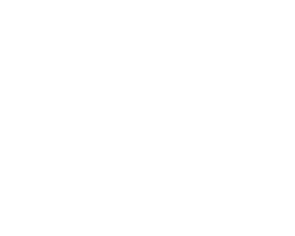 The dog sitting co. logo with white bone