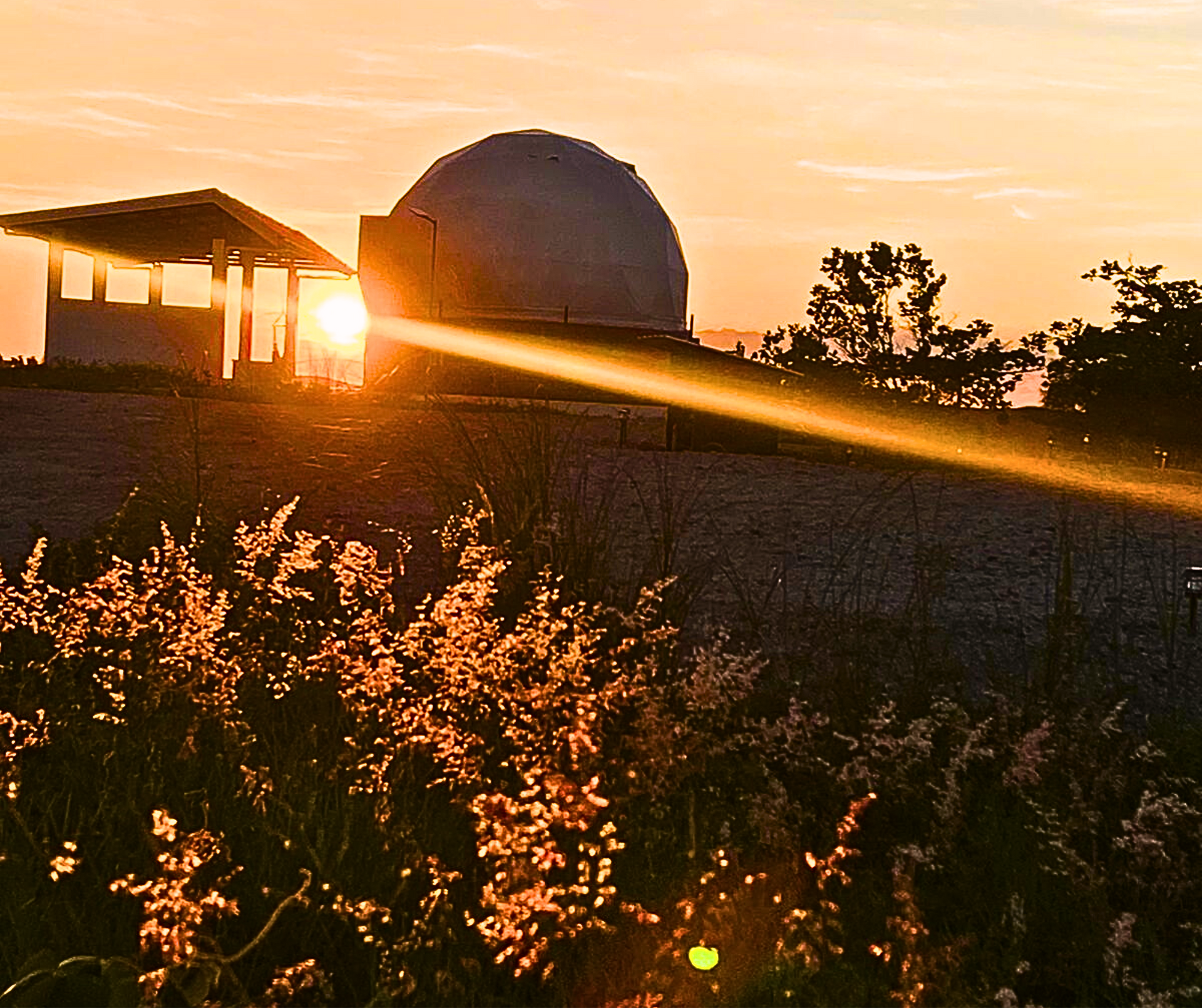 Sunset illuminates an observatory dome and shelter with a golden beam of light; wildflowers in foreground.