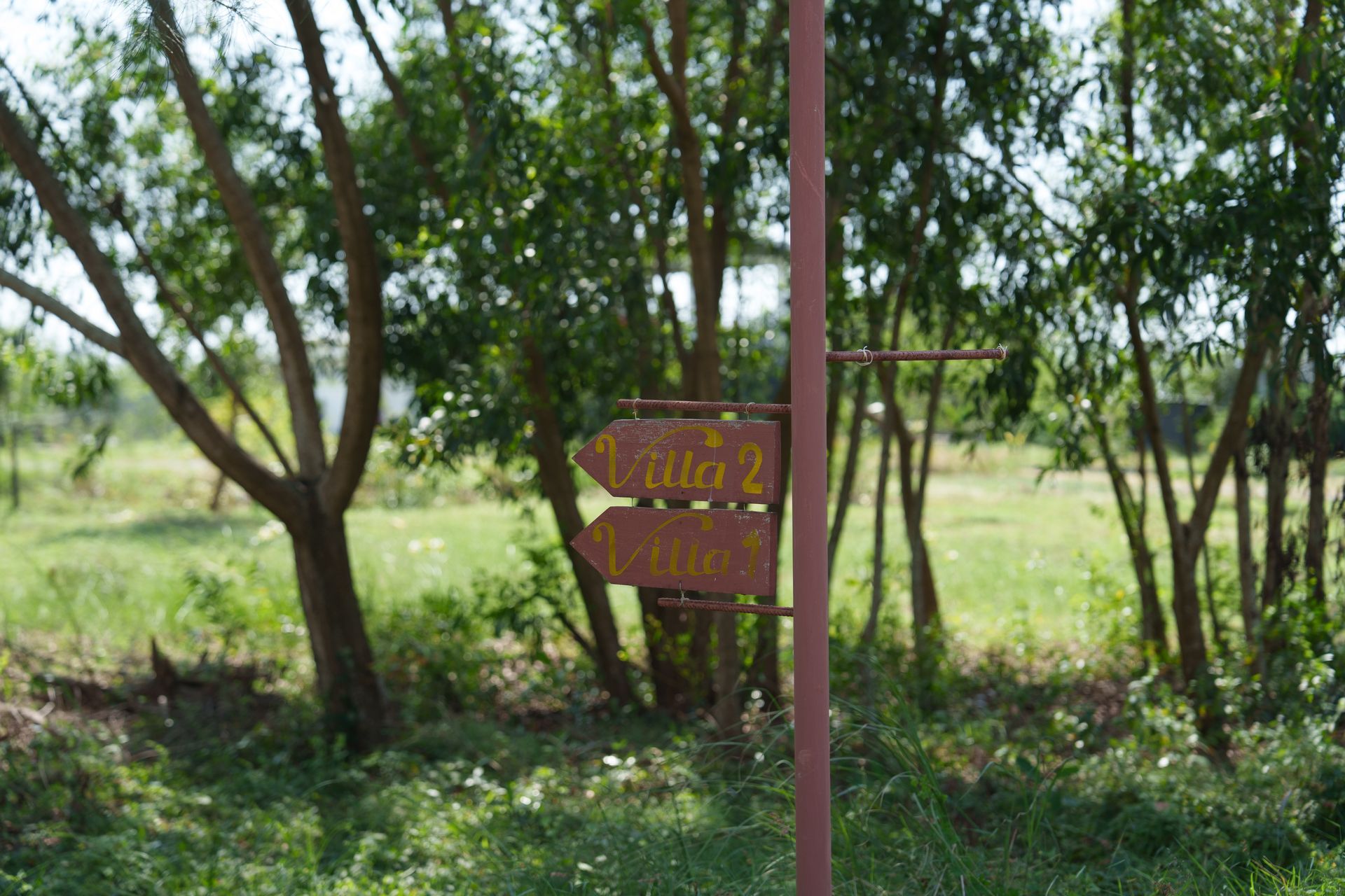 Signpost with arrows pointing to 