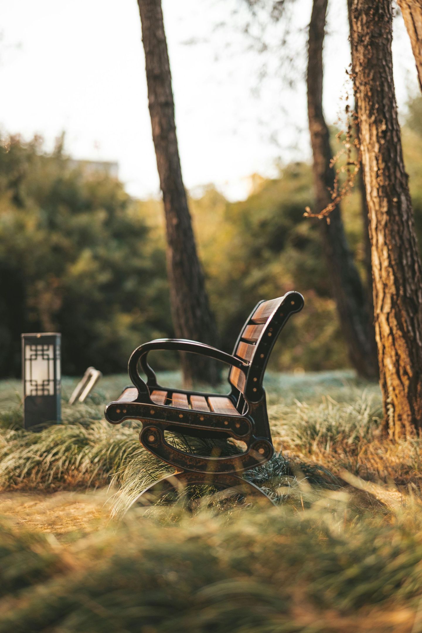 Park bench on a grassy area, trees in the background. Brown, black and green colors.