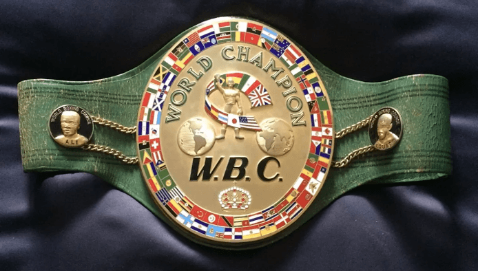 WBC MIDDLEWEIGHT WORLD CHAMPIONSHIP BELT WON BY GERALD McCLELLAN