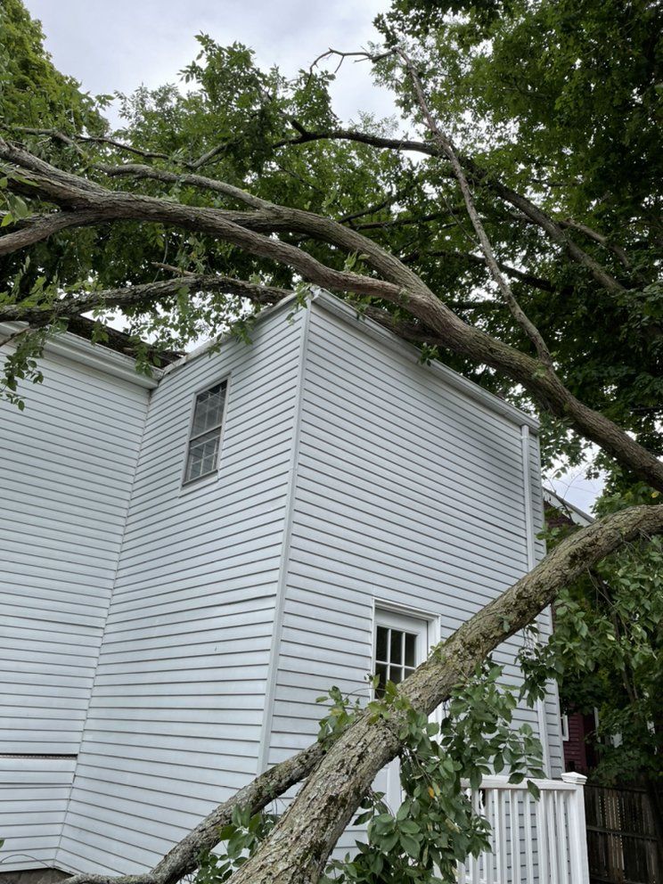 Tree Removal Malden, MA