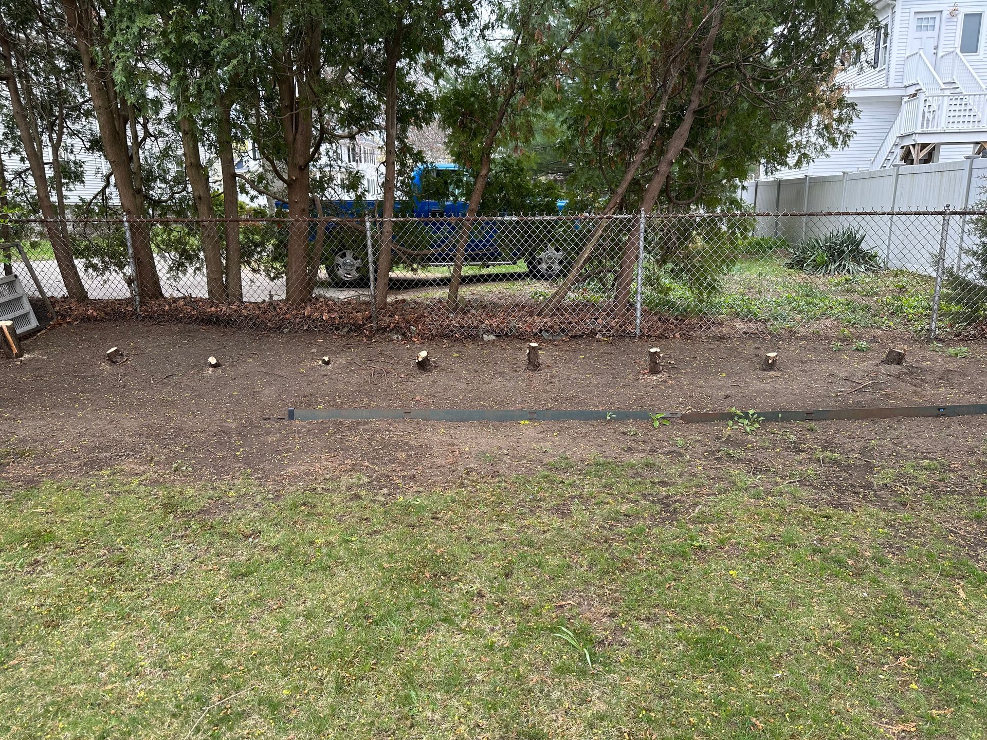 Shrubs removed along fence in Melrose