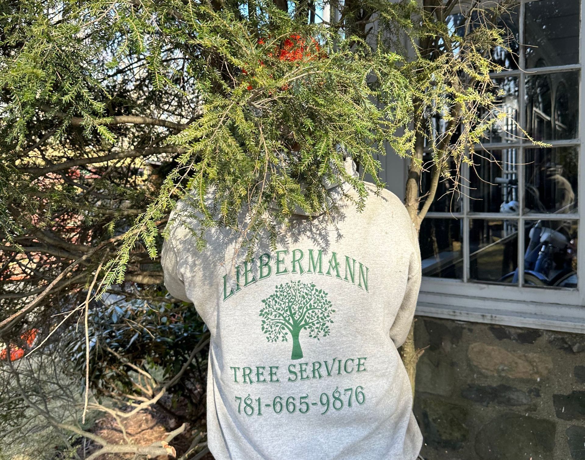 Shrub Removal Malden, MA