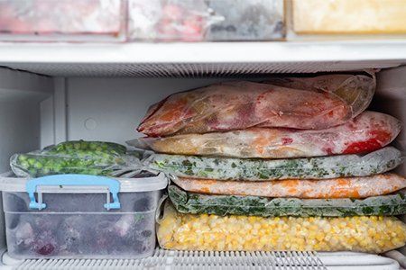 Freezer Problems — Frozen Vegetables in Freezer in Palm Harbor, FL
