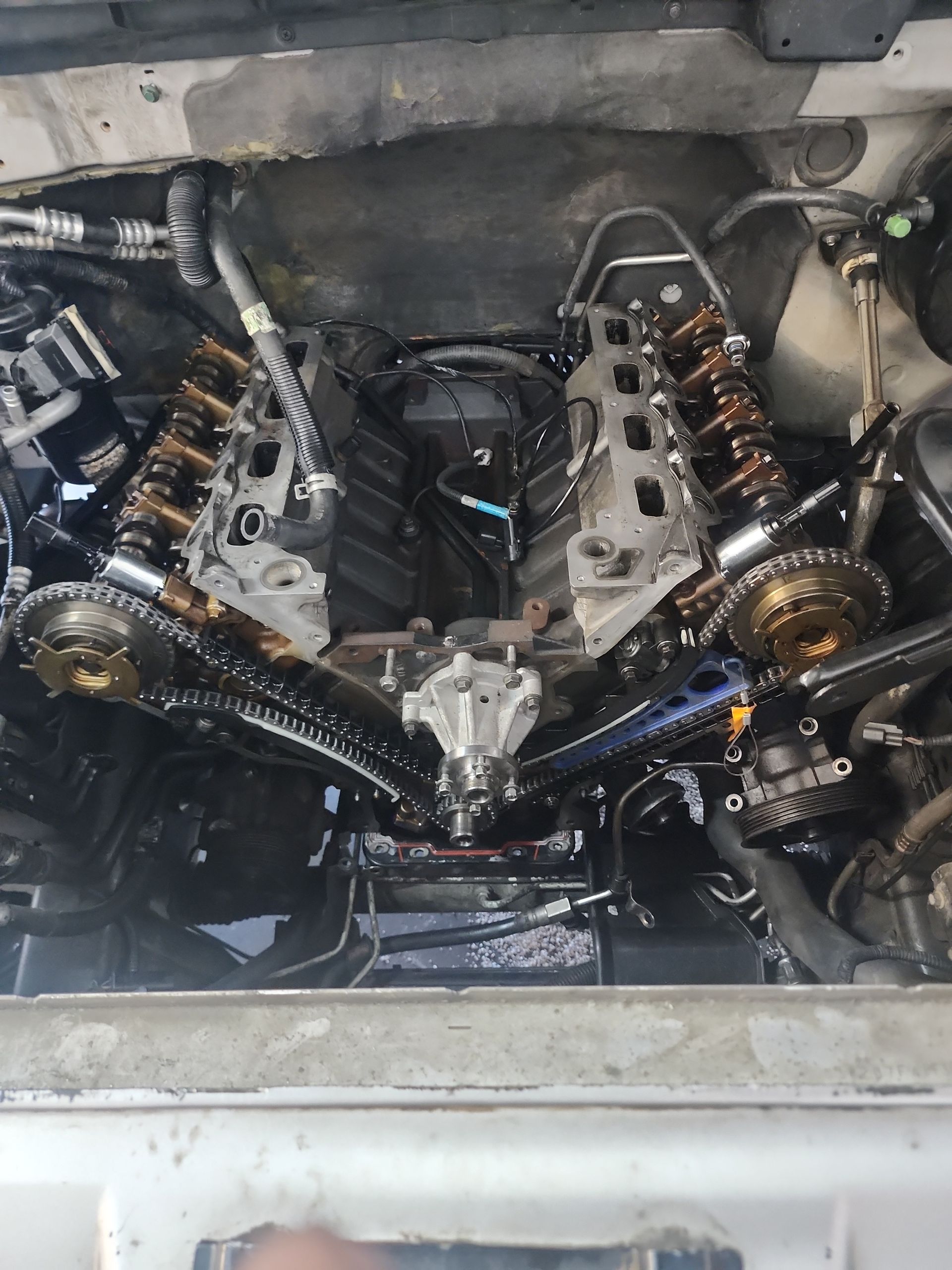 Car engine bay with exposed twin camshafts and timing components, viewed from above