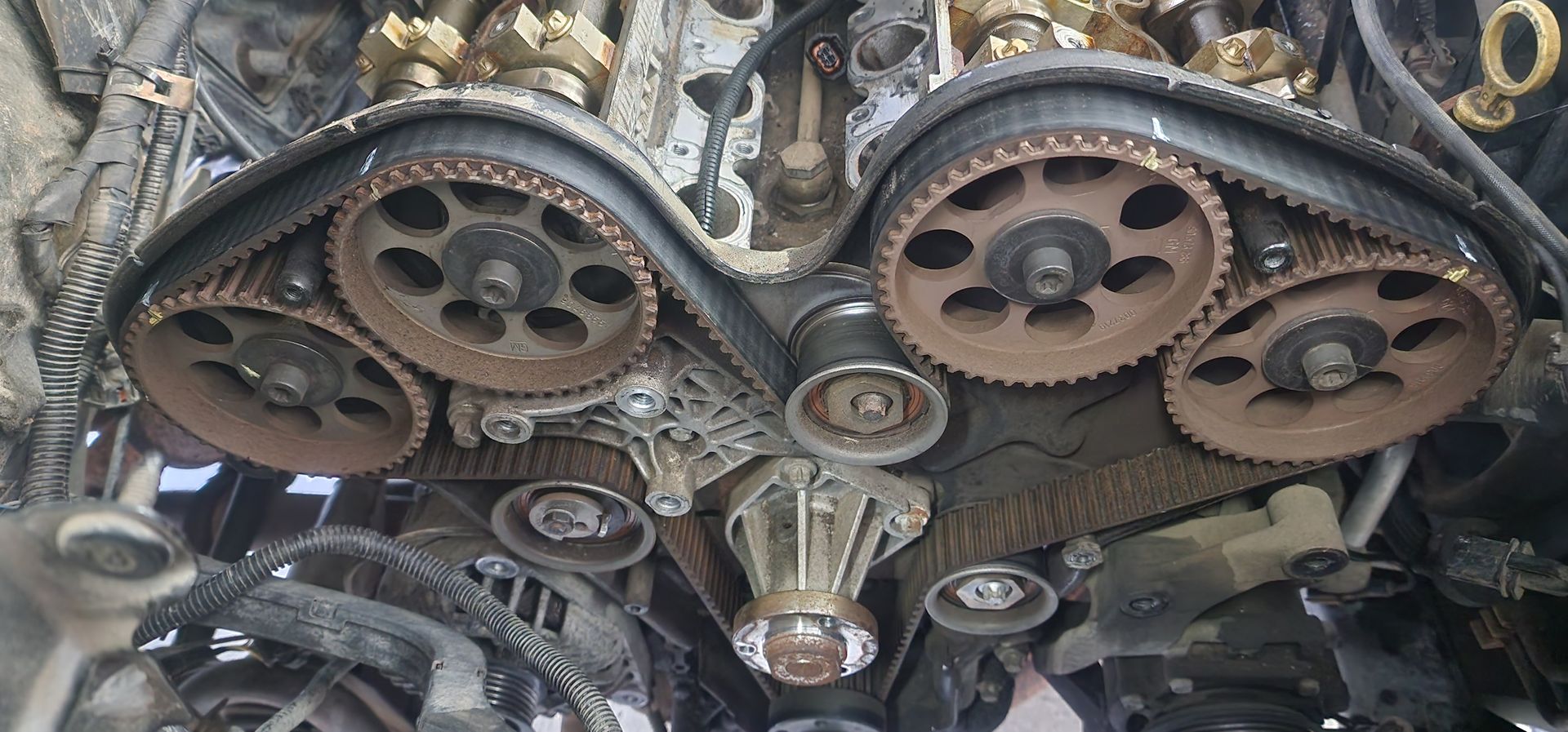 Engine timing belt and cam gears exposed inside a car engine bay