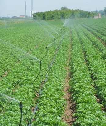 IMPIANTI MICROPIOGGIA