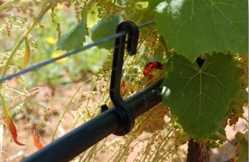 IRRIGAZIONE A GOCCIA