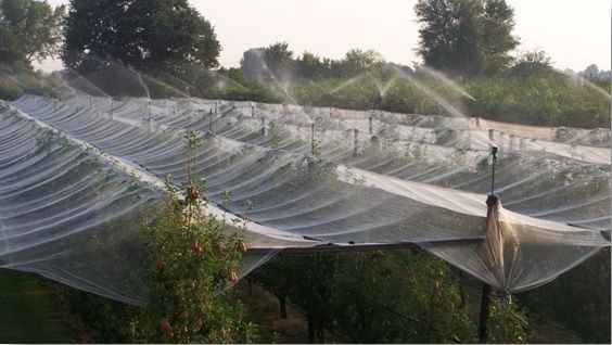 IMPIANTI MICROPIOGGIA