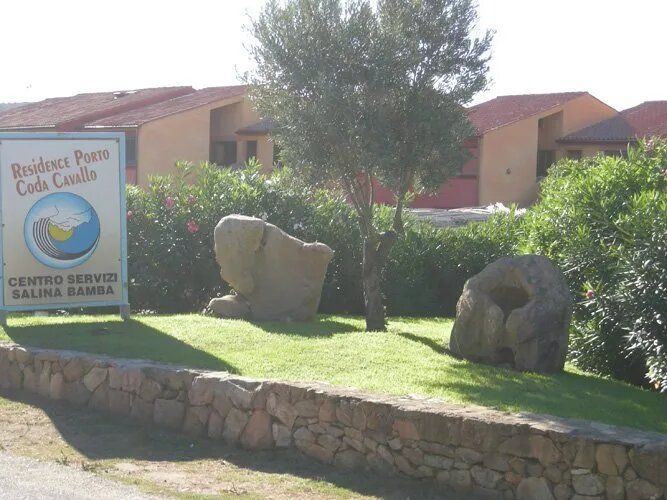 aiuola in giardino privato progettato su misura