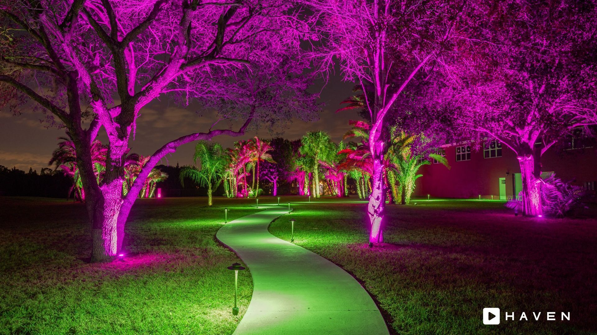 A path surrounded by trees covered in purple and green lights at night.