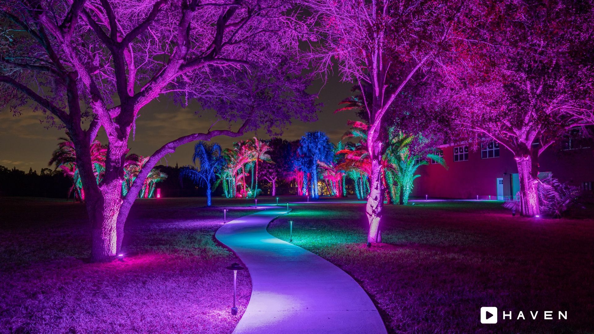 A row of trees are lit up with purple and green lights at night.