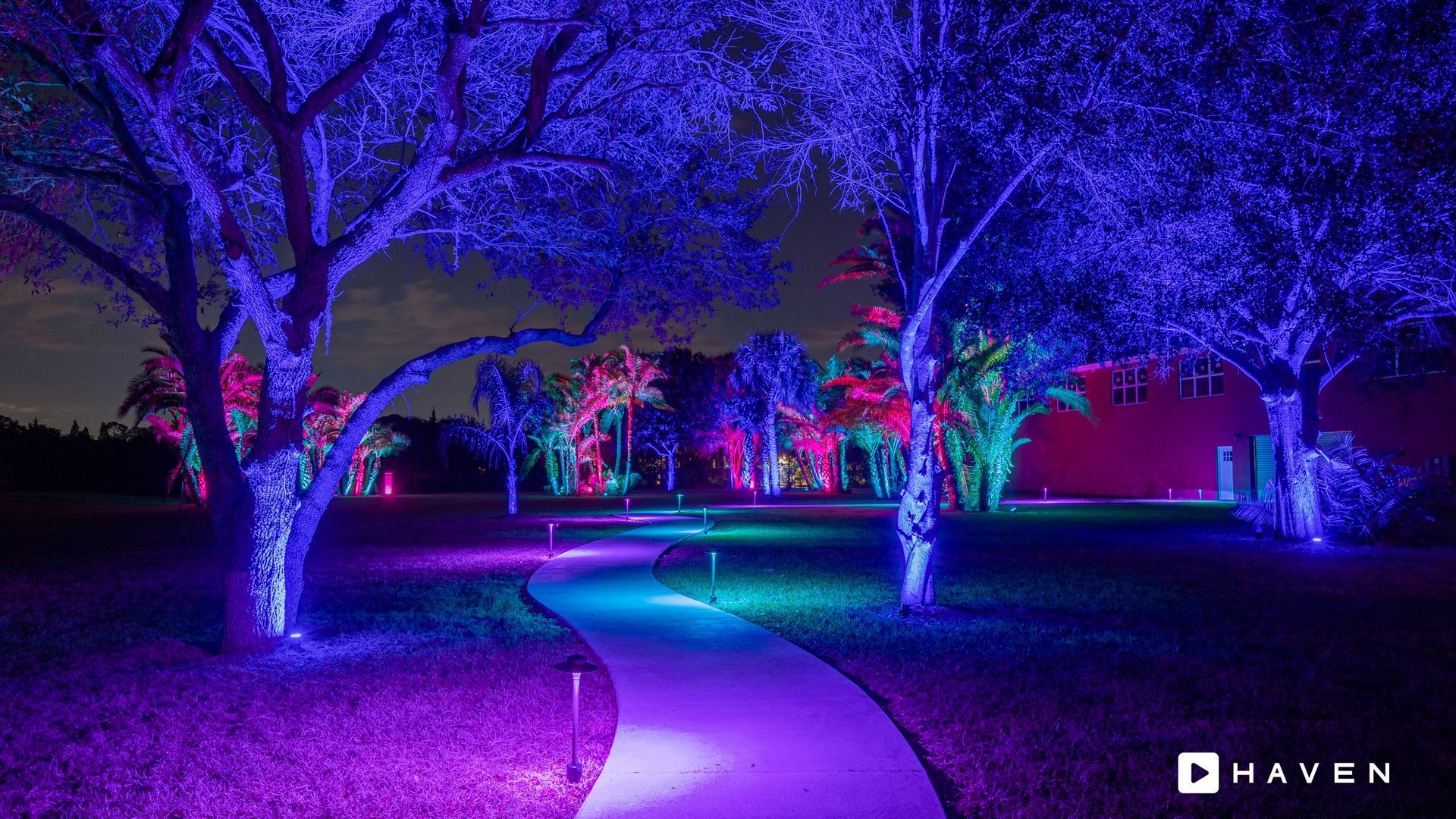 A path surrounded by trees covered in blue and purple lights at night.