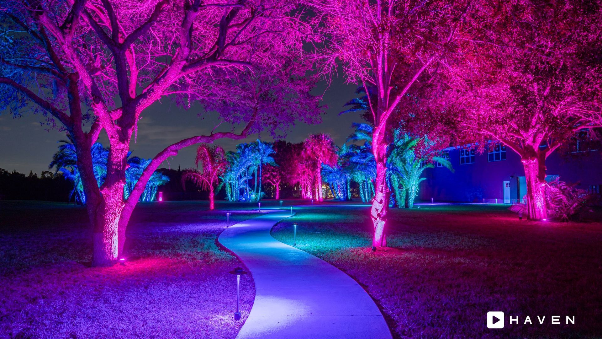 A path surrounded by trees covered in purple and blue lights at night.