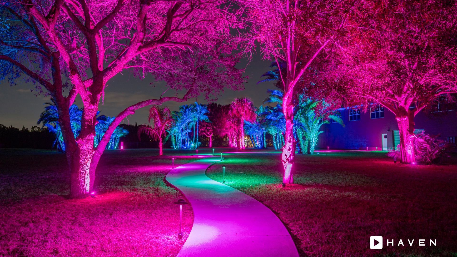 A path surrounded by trees covered in purple and blue lights at night.