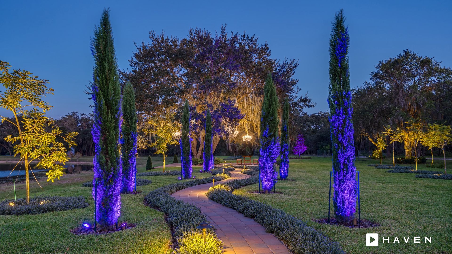 A path in a park with trees and bushes lit up at night.