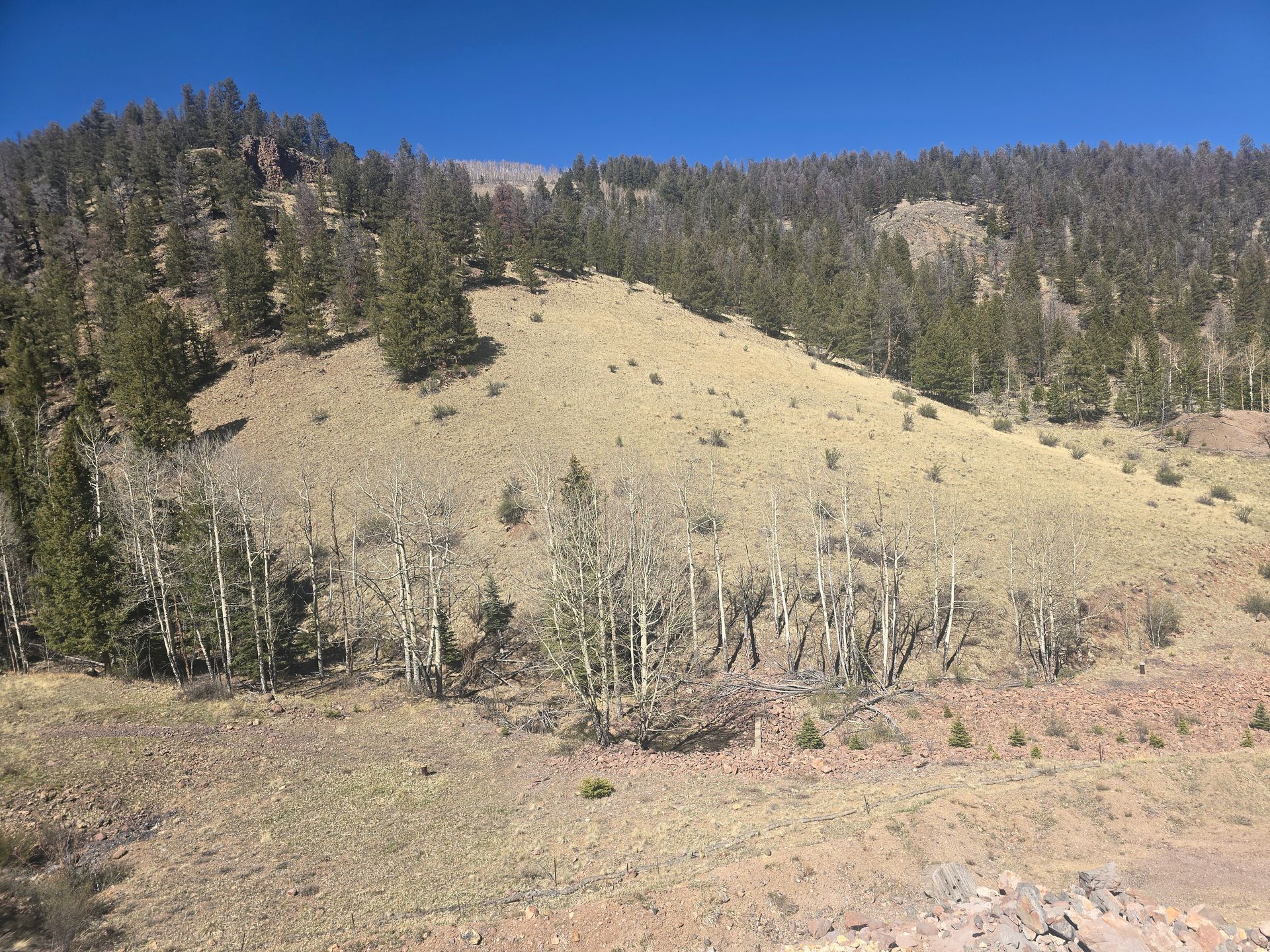 A hillside with trees on it and a blue sky in the background