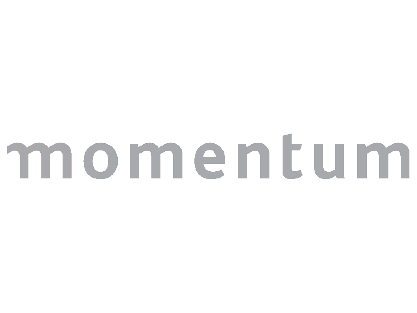 Momentum Insurance
