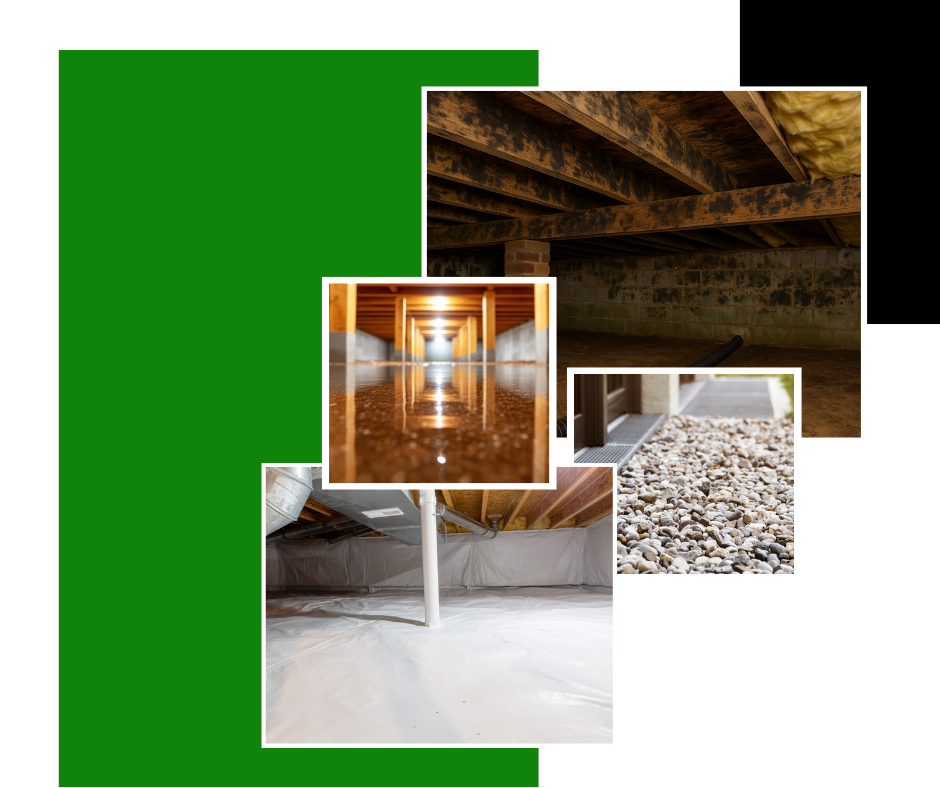 Four crawl space images: wood framing, standing water, gravel walkway, and sealed crawl space with plastic sheeting.