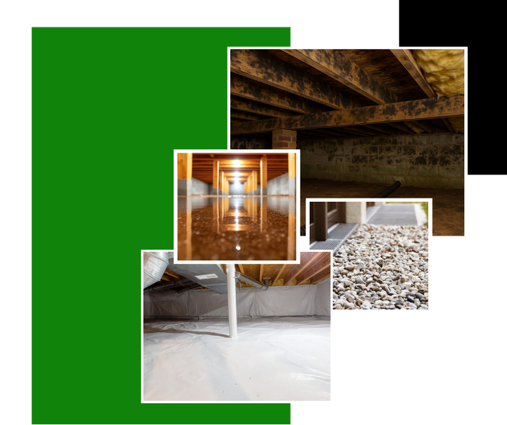 Four crawl space images: wood framing, standing water, gravel walkway, and sealed crawl space with plastic sheeting.