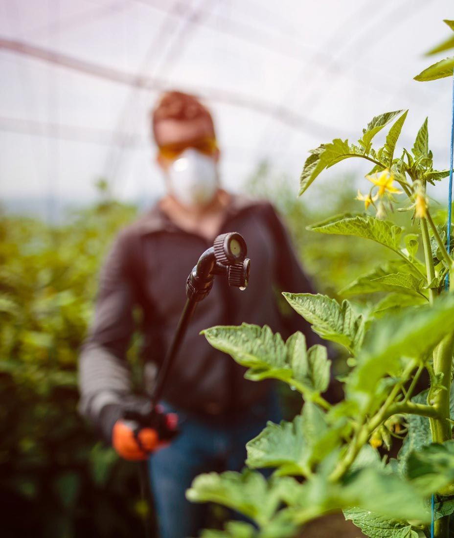 Companies That Design Websites