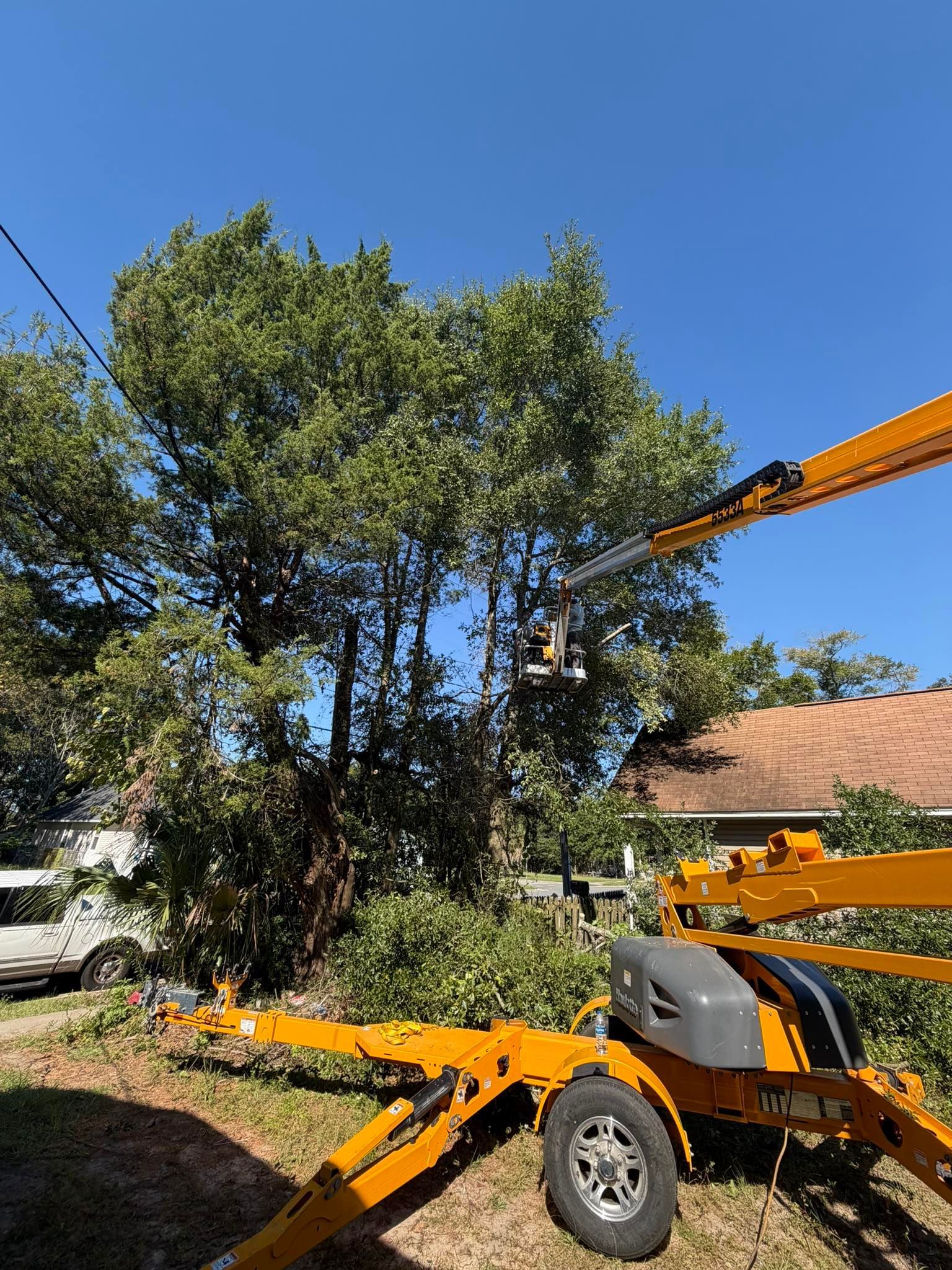 Yellow lift trimming a tree near power lines; sunny day.