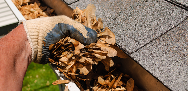 Handyman cleaning leaves out of the gutters