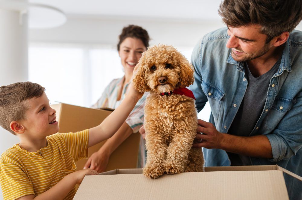 Preparation for Children and Pets on Moving Day