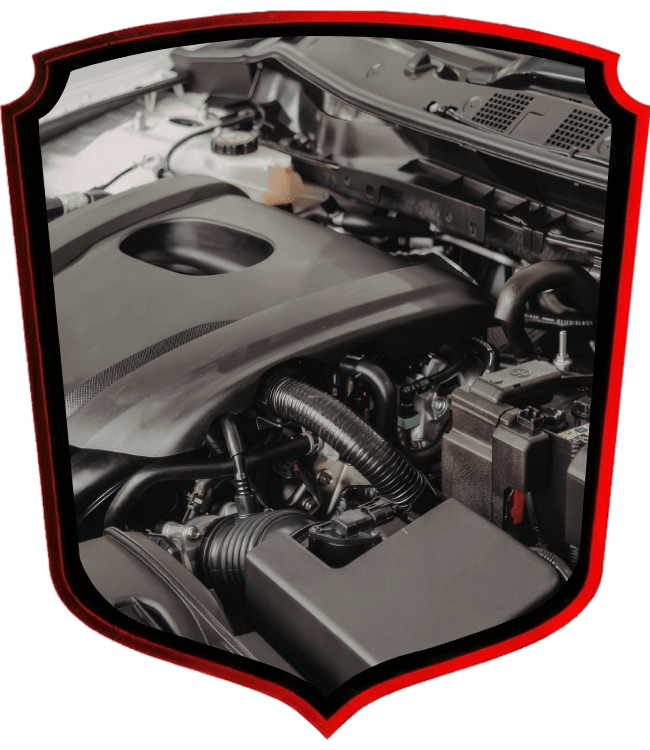 Close-up of vehicle engine compartment components and hoses